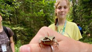 adirondack field ecology summer 2025